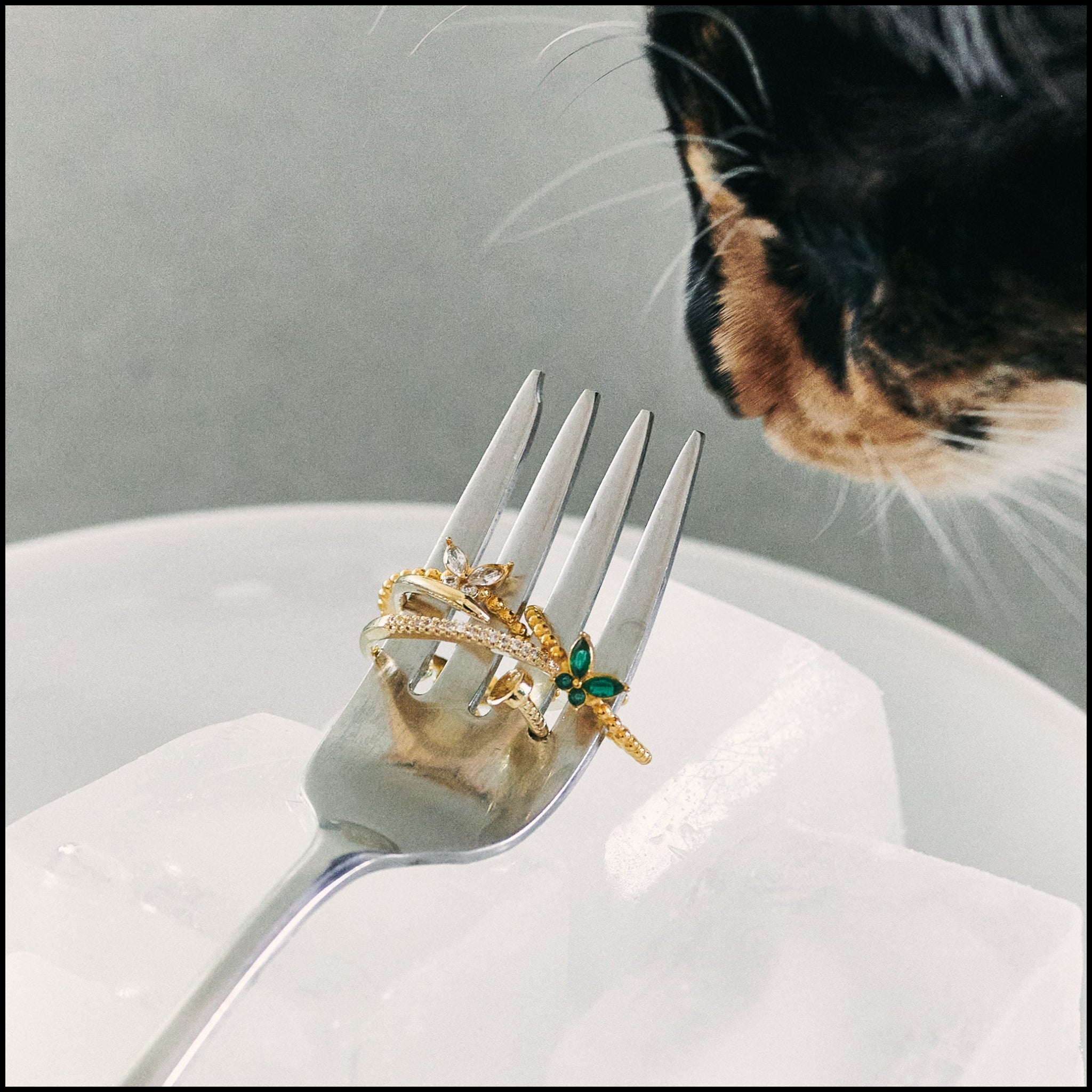 CLAVOS RING - VELOWE